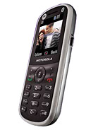 Best available price of Motorola WX288 in Canada