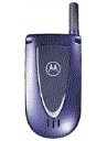 Best available price of Motorola V66i in Canada